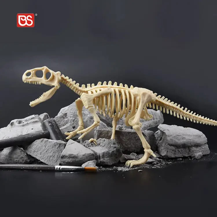 Kit De Excavación Arqueológica