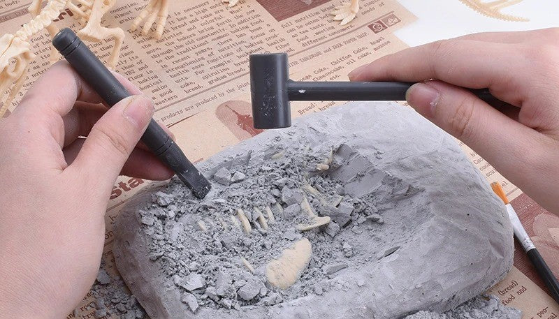 Kit De Excavación Arqueológica