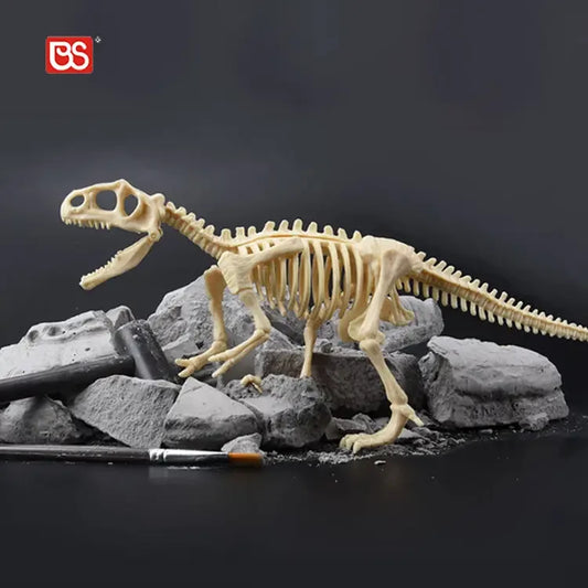 Kit De Excavación Arqueológica